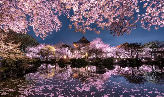 country-image